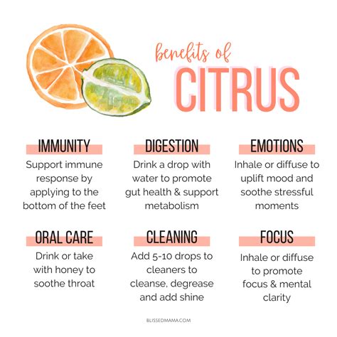 How Citrus Magic Can Help Eliminate Cooking and Food Odors in Your Kitchen